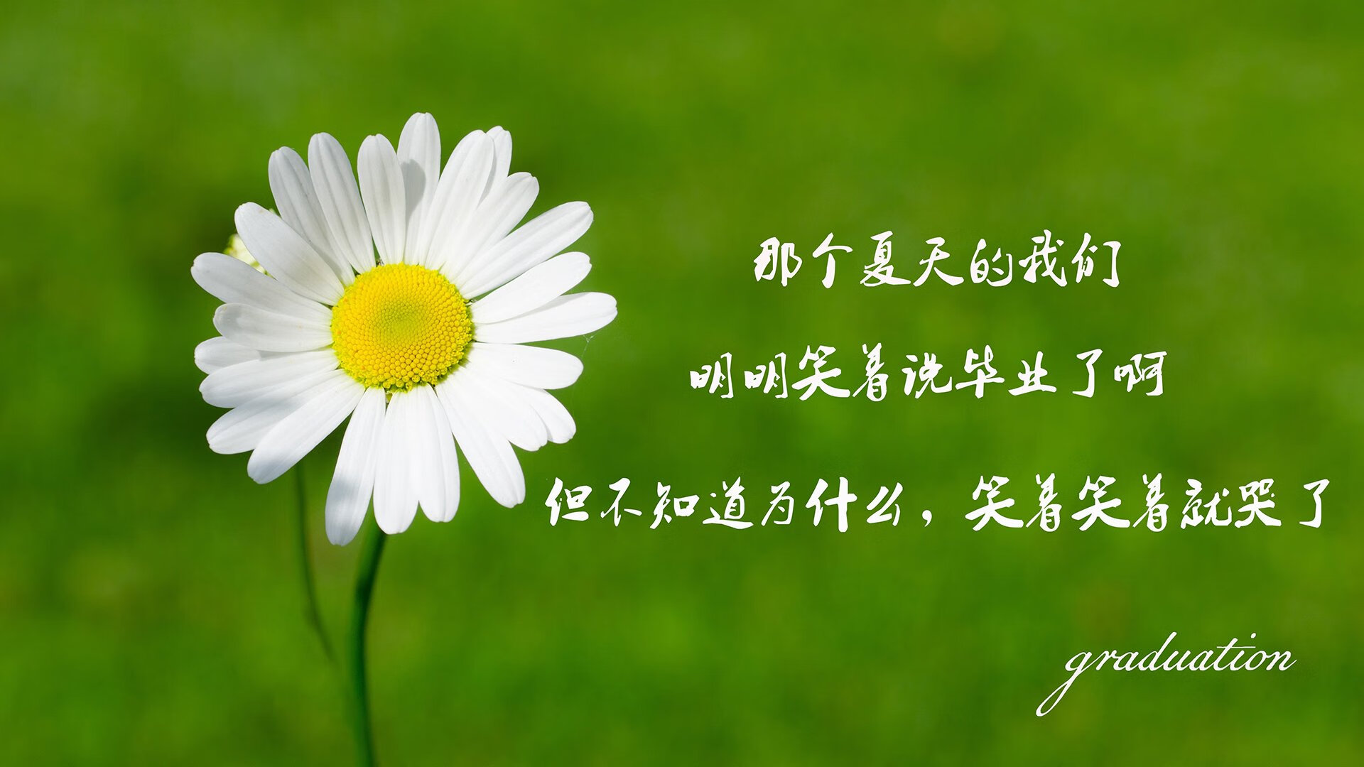 UFC中国女将再下一城,完成跻身世界前十目标,中国ufc女子选手名单