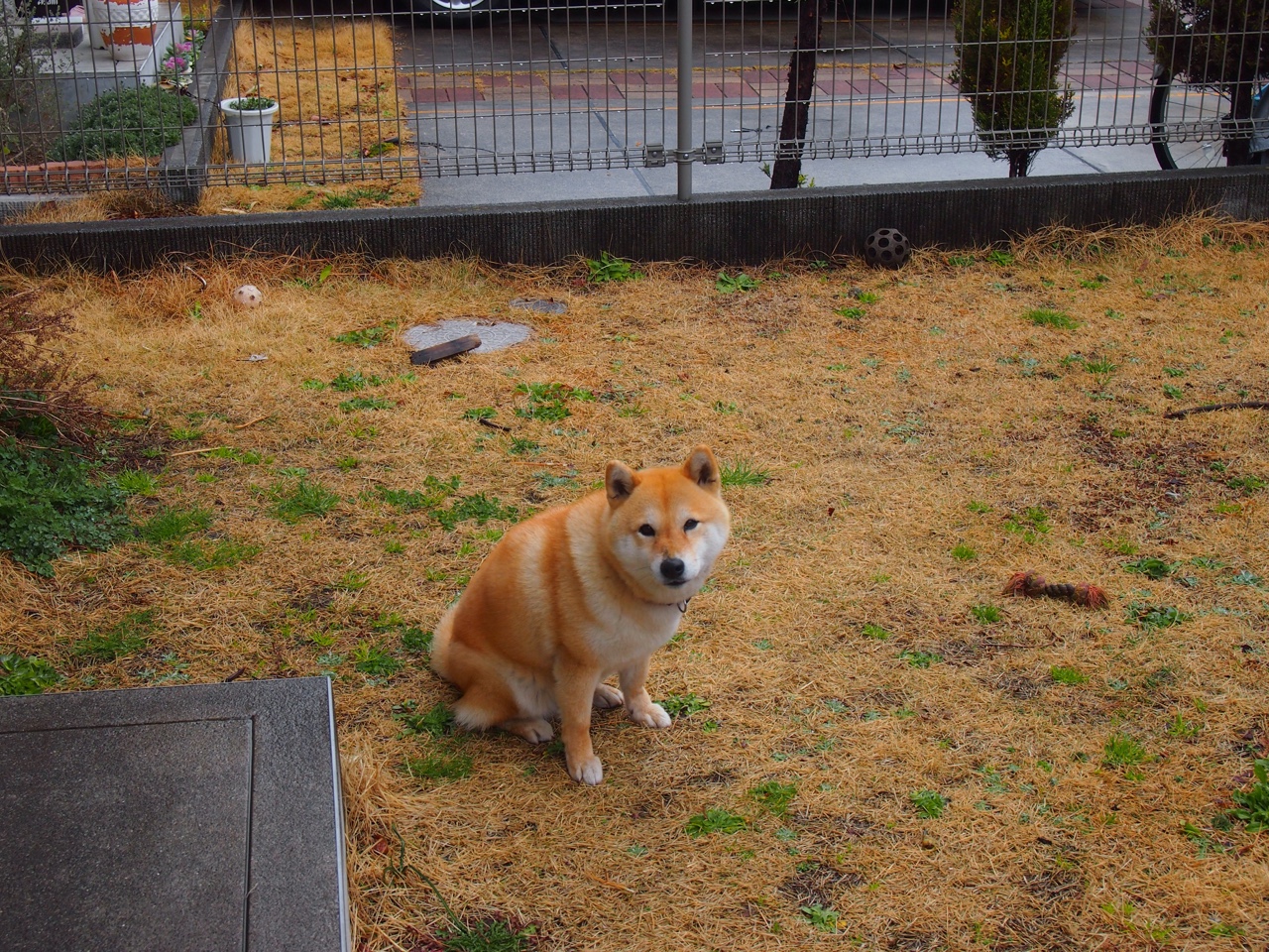 台球运动的公益影响力持续扩大，台球的益处