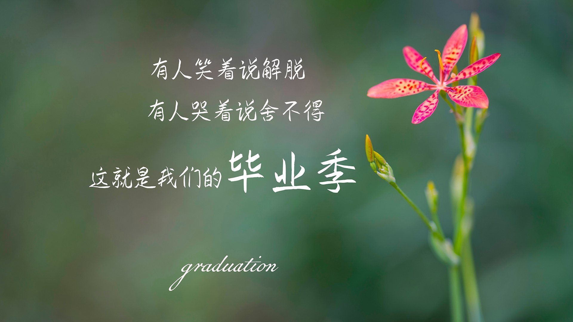 季后赛关键战中，他连续几次用“硬汉封堵”让对手陷入“绝境”！