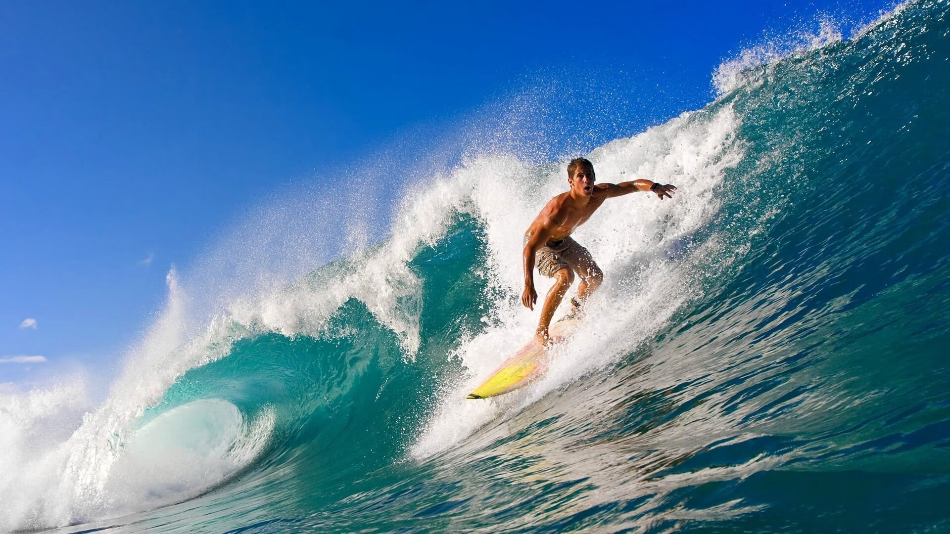 开云体育开云-弗朗索瓦·霍尔茨豪伊泽：南非队的背后大师，迅速调整战术应对挑战